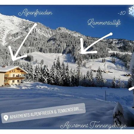 Apartment Tennengebirge Sankt Martin am Tennengebirge Exterior foto
